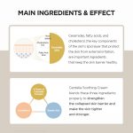 SKIN1004 - Madagascar Centella Soothing Cream | Calm Skin - Image 8