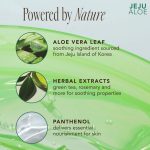 THE FACE SHOP – Jeju Aloe 99% Gel | Hydrating Soothing Care - Image 4
