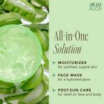 THE FACE SHOP – Jeju Aloe 99% Gel | Hydrating Soothing Care - Image 3