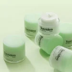 TORRIDEN – BALANCEFUL Cica Cream | Soothing Barrier Care - Image 2