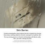 ABIB – Rice Probiotics Overnight Mask Barrier Jelly - Image 4