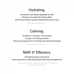 ABIB – Sedum Hyaluron Creme | Soothing Barrier Boost - Image 5