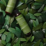 BENTON – Deep Green Tea Toner | Moisturizing, Calming - Image 3