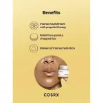 COSRX – Full Fit Propolis Lip Sleeping Mask | Moisturizing - Image 2