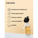 COSRX – Propolis Light Ampule | Hydrating, Soothing - Image 2