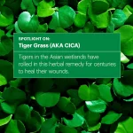 DR.JART+ – Cicapair Serum | Redness Relief, Hydrating - Image 7