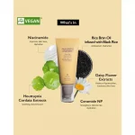 HARUHARU WONDER – Black Rice Moisture Airyfit Sunscreen - Image 9