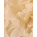 KAINE – Vegan Collagen Youth Cream | Hydrating, Anti-Aging - Image 6