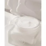 KAINE – Vegan Collagen Youth Cream | Hydrating, Anti-Aging - Image 8