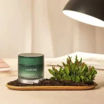 LANEIGE – Cica Sleeping Mask | Hydrating, Barrier Repair - Image 2