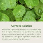 PURITO – Centella Unscented Serum | Soothing, Hydrating - Image 2