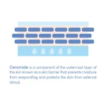 PURITO – Dermide Relief Barrier Moisturizer | Hydrating - Image 8