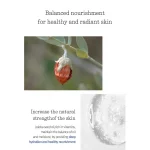 PYUNKANG YUL – Balancing Gel | Barrier-Repair Hydration - Image 10