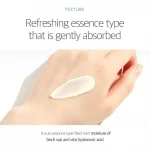 Round Lab – Birch Juice Moisturizing Sun Cream SPF50+ PA++++ - Image 7