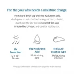Round Lab – Birch Juice Moisturizing Sun Cream SPF50+ PA++++ - Image 4