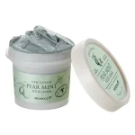 SKINFOOD – Pear Mint Food Mask | Oil Control, Cooling