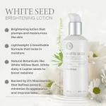 THE FACE SHOP – White Seed Brightening Lotion | Radiance - Image 7