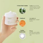 FRAIJOUR – Heartleaf Blemish Moisture Cream | Redness Relief - Image 7