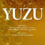 FRAIJOUR – Yuzu Honey All Cleansing Balm | Radiant Cleanse - Image 5