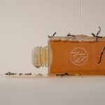 KAINE – Kombu Balancing Ampoule Toner | Hydrating, Soothing - Image 3