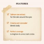 SKINFOOD - Salmon Darkcircle Concealer Cream - #2 Beige - Image 9