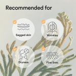 ABIB – Collagen Gel Mask Jericho Rose Jelly | Anti-Aging - Image 4