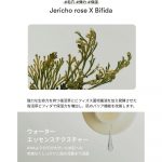 ABIB – Jericho Rose PHA Toner Skin Booster | Exfoliating - Image 4
