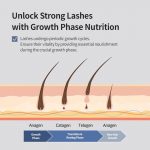 BENTON – Honest Eyelash Serum - Lash Growth Serum - Image 6