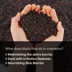 COXIR – Black Snail Collagen Cream | Anti-Aging Cream - Image 4