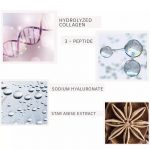 MEDIFLOWER – Collagen Wrinkle Eye Cream | Wrinkle-Reducing - Image 4