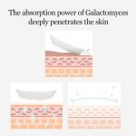 MIXSOON – Galactomyces Toner Pad | Pore-Minimizing, Radiance - Image 4