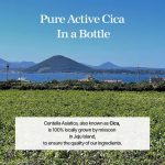 MIXSOON – Soondy Centella Asiatica Essence | Calming - Image 2