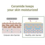 ROUND LAB – Soybean Cleansing Oil | Gentle, Makeup Remover - Image 7