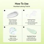 ABIB - Heartleaf Calming Trial Kit | Sensitive Skin Routine - Image 4