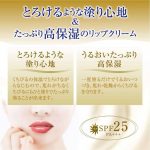 ROHTO MENTHOLATUM – SPF Melty Cream Lip Balm | Rich Honey - Image 5
