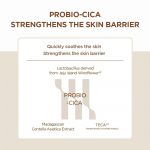 SKIN1004 – Madagascar Centella Probio-Cica Enrich Cream - Image 6
