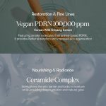 VT COSMETICS – PDRN Essence 100 | Firming Hydration - Image 5