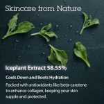 BLITHE – Crystal Iceplant Pressed Serum | Cooling Glow - Image 3