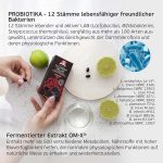 Dr.OHHIRA – DELUXE 12 Strains of Lab 5 Years of Fermentation - Image 2