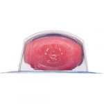 VASELINE – Lip Therapy – Rosy | Tinted Hydrating Care - Image 5