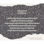 THE PLANT BASE – Time Stop Vitamin Ampoule | Radiance Boost - Image 7