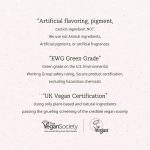 THE PLANT BASE – Time Stop Vitamin Ampoule | Radiance Boost - Image 6