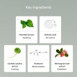 ABIB – Acne Foam Cleanser Heartleaf Foam | Purifying - Image 5