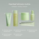 ABIB – Acne Foam Cleanser Heartleaf Foam | Purifying - Image 4