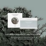DR. ALTHEA – Last Minute Skin Rescue Anastatica Mask - Image 7