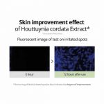 GOODAL – Houttuynia Cordata Calming Moisture Toner - Image 3
