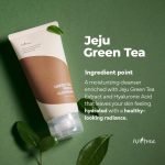 ISNTREE – Green Tea Fresh Cleanser | Soothing, Oil-Control - Image 5