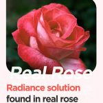 ISNTREE – Real Rose Calming Mask | Cooling, Moisturizing - Image 9