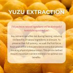 LALARECIPE – Yuzu Vita-C Ampoule Pad | Brightening - Image 3