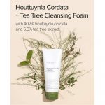 MARY & MAY – Houttuynia Cordata + Tea Tree Cleansing Foam - Image 8